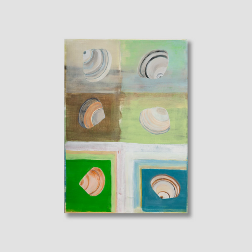 Artistic depiction of shells on a grid with colored backgrounds