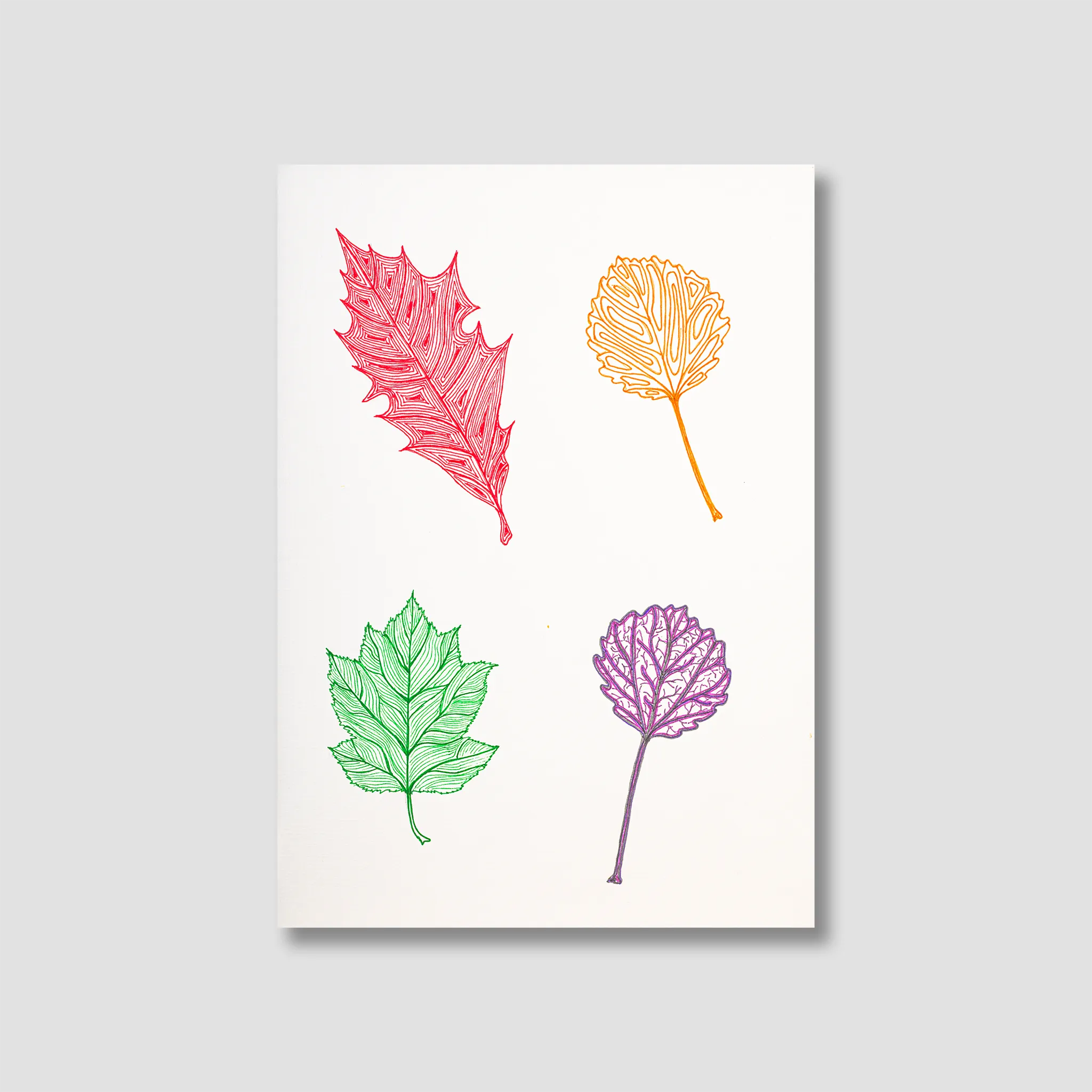 Four colorful leaf illustrations on a white background